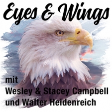 Eyes & Wings